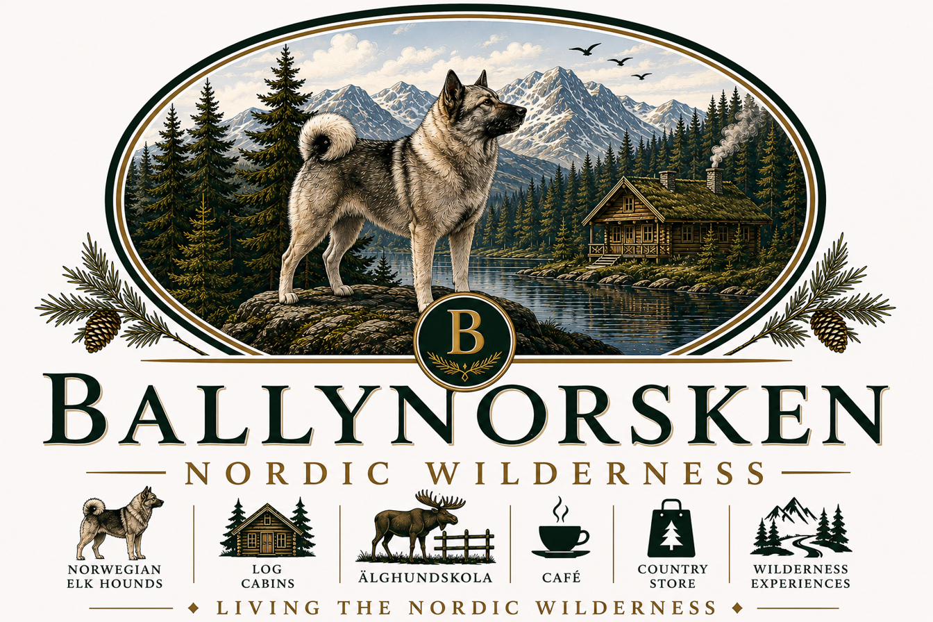 Ballynorsken seal